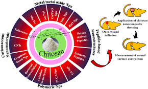 Image result for Sida