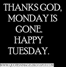 Looking for the best collection happy tuesday images and quotes pictures, photos ? Happy Tuesday Funny Quotes Quotesgram