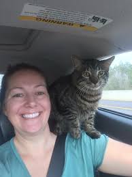 Lost cat in Saco, Maine, since 9/22