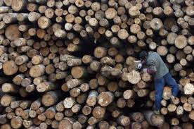 To date, a total of 4.62 million hectares covering six forest plantation units and 18 forest management units in malaysia have been certified under the mtcs, which is the largest in the world for tropical forests. Mtcc Hopeful On Tax Breaks To Boost Timber Certification Uptake Borneo Post Online