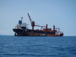 Image result for Timorbeige 1982 Fleet