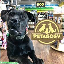 Pet sitting, pet stores, pet groomers. Guide To All Of The Locally Owned Pet Supply Stores In Pittsburgh