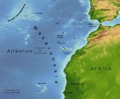 Descubra o quanto alguns produtos e serviços regulares lhe custariam. Macaronesia Maritime Logistics Professional