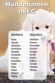 Jeder hat dabei seine ganz eigene taktik. Hundenamen Mit G Weiblich Und Mannlich Mit Bedeutung
