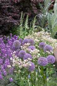 Violet Garden Images On Pinterest Blumenbeet Anlegen Pflanzen Garten