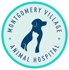 At montgomery veterinary associates, we believe in. Vet Near Me 20886 Montgomery Village Animal Hospital