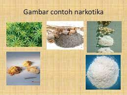 500 Gambar Contoh Narkoba Gratis Gambar Id