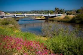 A dam removed the lower portion of branciforte creek, like the san lorenzo river, is contained within a system flood control structures. Save Our Shores San Lorenzo River Cleanup Coastal Watershed Council