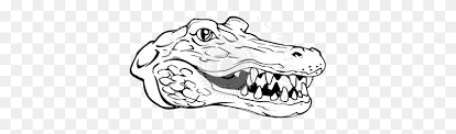 Find high quality alligator clipart, all png clipart images with transparent backgroud can be download for free! Alligator Head Clip Art Gator Clipart Black And White Stunning Free Transparent Png Clipart Images Free Download