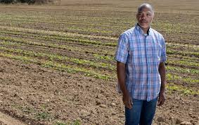 Image result for Harveya helenae