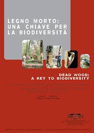 Recuperarea taxei auto e încă dificilă şi necesită teancuri de acte eugen teodorovici anunță o verificare luni la fisc pentru restituirea taxelor auto. Pdf The Succession Of Saproxylic Insects In Dead Wood A New Research Method Successioni Degli Insetti Saproxilici Nel Legno Morto Un Nuovo Metodo Di Ricerca In L E G N O M O R T O U N A C H I A V E P E R L A B I O D I V E R S I T A