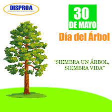 El árbol forestal argentino es el quebracho colorado chaqueño que no debe confundirse con la flor otra fecha vinculada con el día del árbol es el día forestal mundial, establecido desde 1971 por la. Disproa Honduras Ø¹Ù„Ù‰ ØªÙˆÙŠØªØ± 30 De Mayo Dia Del Arbol Nacional De Honduras El Pino Siembra Un Arbol Siembra Vida Diadelarbol Hondurasverde 30demayo Https T Co Jcapnfiopk