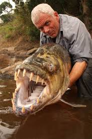 The Reality Of River Monsters Live Science Biologist and extreme angler, jeremy wade, is on the hunt for freshwater fish with a taste for human flesh. the reality of river monsters live