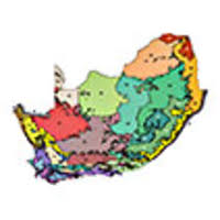 Image result for Eriosema burkei