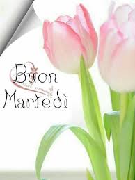 Amazing foto belle per profilo whatsapp le94 pineglen. Immagini Buongiorno Martedi Gratis Immaginibuongiorno Info