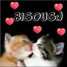 Bisous Photos De Chats Mignons Image Chaton Bisous D Amour