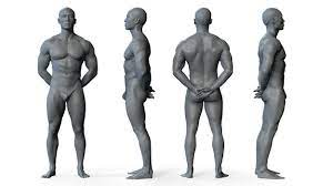 Zachary, wak, md, et al. Male 02 Anatomy Reference Pose 07 Male 02 Anatomy Reference Pose 07