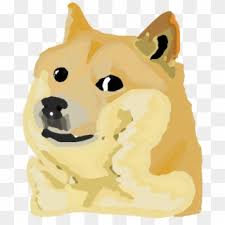 Learn more about the shiba inu breed and find out if this dog is the right fit for your home at petfinder! Shiba Inu Dog Like Mammal Dog Yellow Mammal Nose Head Doge Hd Png Download 518x599 6782258 Pngfind