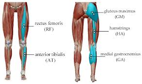 But if the pain started after changing a medication or a dose, it is worthwhile looking into. Applied Sciences Free Full Text Effects Of Backpack Loads On Leg Muscle Activation During Slope Walking