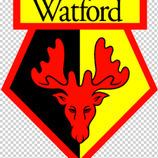 You can use them for free. Watford F C Watford L F C Premier League Fa Cup English Football League Premier League Antler Leaf Text Png Klipartz