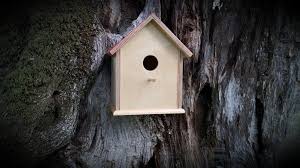 Here's a plan for a nesting box that will keep your backyard birds cozy all winter. Making A Birdhouse 11 Steps With Pictures Instructables