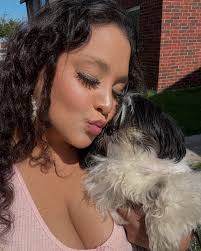 Young shihtzu Blonde is male Darker is femal