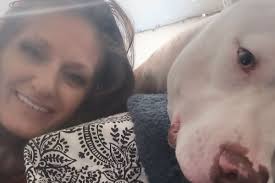 Fundraiser by Cory Peralez : Help a student and her pup from becoming  homeless