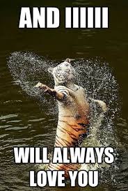 Image result for Animal Meme