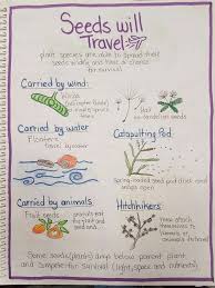 Alberta Grade 4 Science Plants Plant Science 4th Grade Science Teaching Science