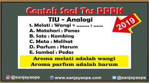 Tes Pppk 2019 Contoh Latihan Soal Tiu Analogi Dan Pembahasan Youtube Latihan