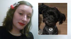 American Airlines accidentally sent dog to wrong city