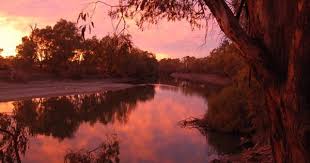 Morning On The Murrumbidgee Wagga Wagga New South Wales South Wales