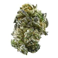 The county's code acts as a numerical moniker for the strain. Browse All Marijuana Strains For 4 20 Leafly
