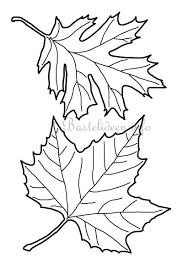 Am besten von weit oben fallen lassen, dann sieht man den. Basteln Zum Herbst Blatter Vorlage