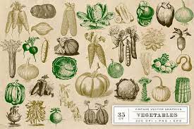 Pin On Illustrations