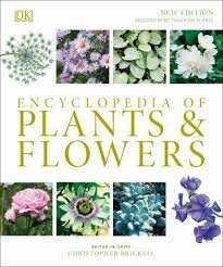 Maybe you would like to learn more about one of these? Encyclopedia Of Plants And Flowers By Christopher Brickell 2019 Hardcover For Sale Online Ebay