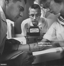 50 Biten Stock Photos, High-Res Pictures, and Images