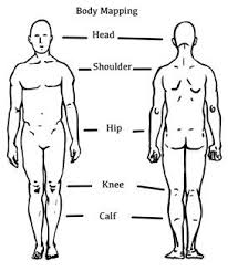 Any organized planner will vouch for the importance of a perfect body outline front and back. Pin On Massage