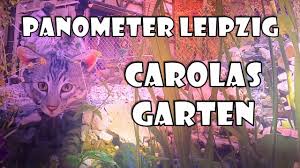 Wer sind wir und woher kommen wir? Panometer Leipzig Carolas Garten Als 360 Panorama Zeit Zu Zweit Youtube