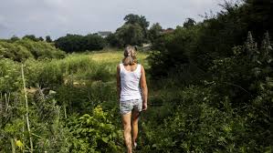 40658/13 in the matter between: In Ukraine Surrogacy Is Legal But Some Ask If It S Exploitation