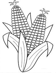 There are tons of great resources for free printable color pages online. Corn Harvesting Corn Coloring Page Corn Drawing Vegetable Coloring Pages Coloring Pages