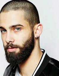 Pin Em Beard Style Men