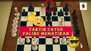 Bukan hanya itu, orang dewasa juga banyak menyukai film kartun atau animasi. Taktik Catur Paling Mematikan Pemula Wajib Mengetahui Catur Talk Indonesia Youtube