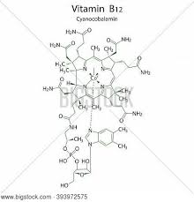 Cyanocobalamin and hydroxocobalamin are synthetic forms of vitamin b12. Flat Vitamin B12 Vector Photo Free Trial Bigstock