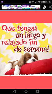 Tu fin de semana jamás estará completo sin tus seres queridos. Frases De Feliz Fin De Semana Fur Android Apk Herunterladen