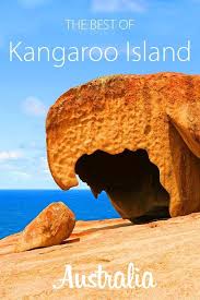 Kangaroo Island Itinerary Best Things To Do Travel Guide Australia Travel Guide Australian Travel Kangaroo Island
