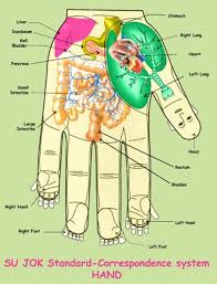 What Is Sujok Therapy Benefits And Acupressure Points Chart