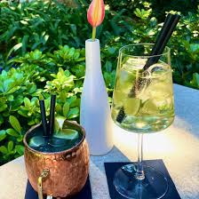 Image result for Stolzia