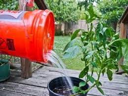 The Easiest Diy Ever Feed Yourself With Shower Water Organic Raised Garden Beds Easy Diy Organic Gardening