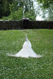 Taking The 2 5hr Ferry Across Lake Ohrid To The Stunning St Naum Beautiful Travel Destinations Eastern Europe Travel Eastern Europe Travel Destinations